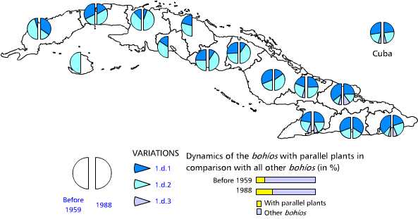 Bohios with parallel plants