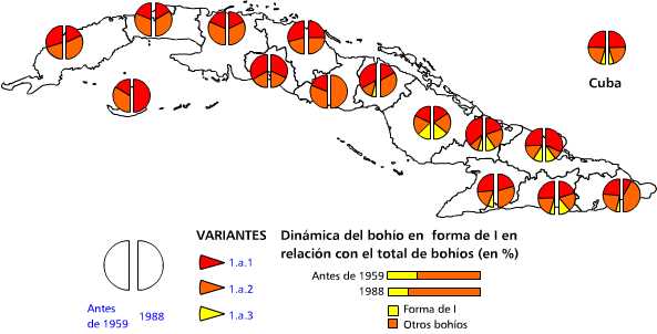 Bohíos en forma de I