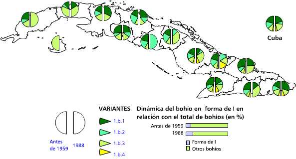 Bohíos en forma de L