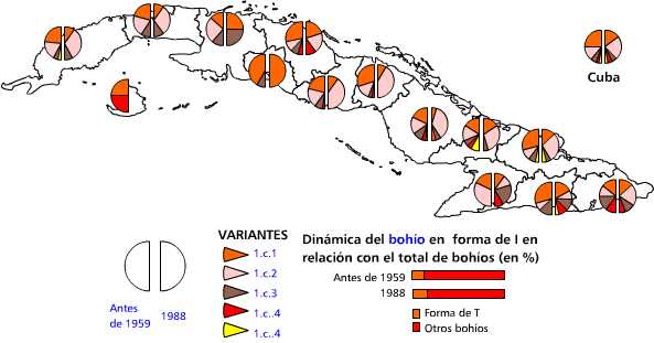 Bohíos en forma de T