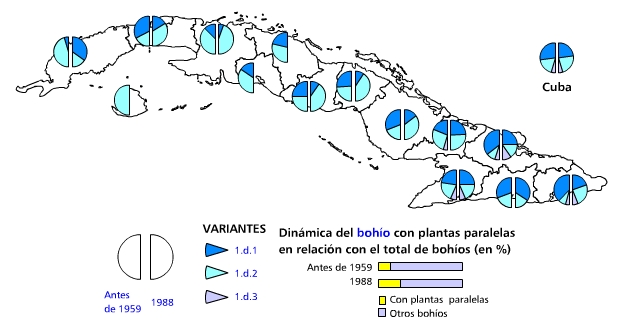 Bohíos con plantas paralelas