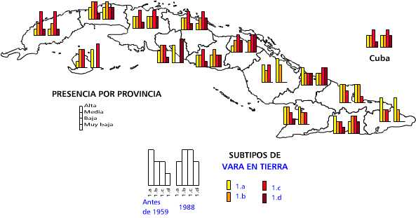 Vara en tierra