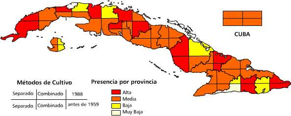 Formas de cultivo